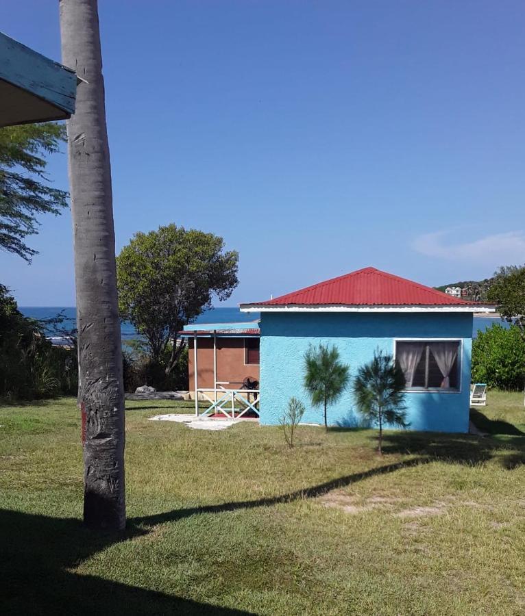 Waikiki Guest House Treasure Beach Dış mekan fotoğraf