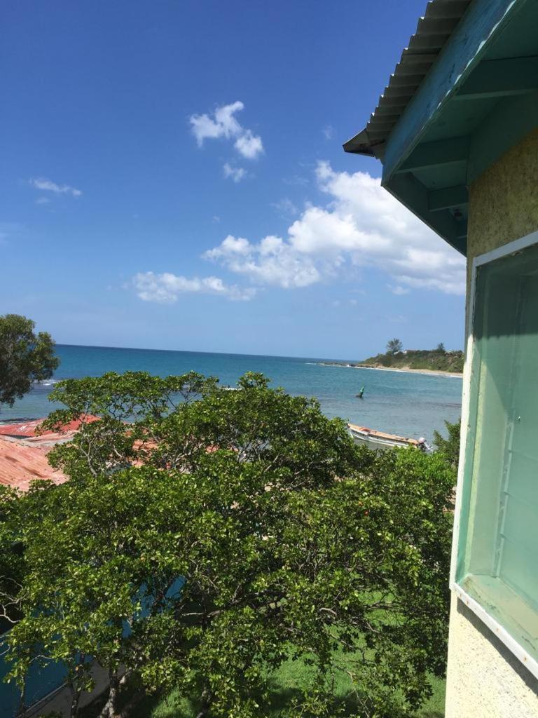 Waikiki Guest House Treasure Beach Dış mekan fotoğraf